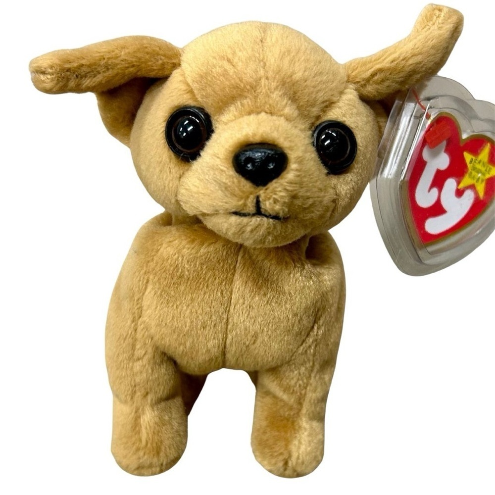 RARE TY Beanie Baby “Tiny” the Chihuahua | Tag Errors | 1998/1999 | Collectible